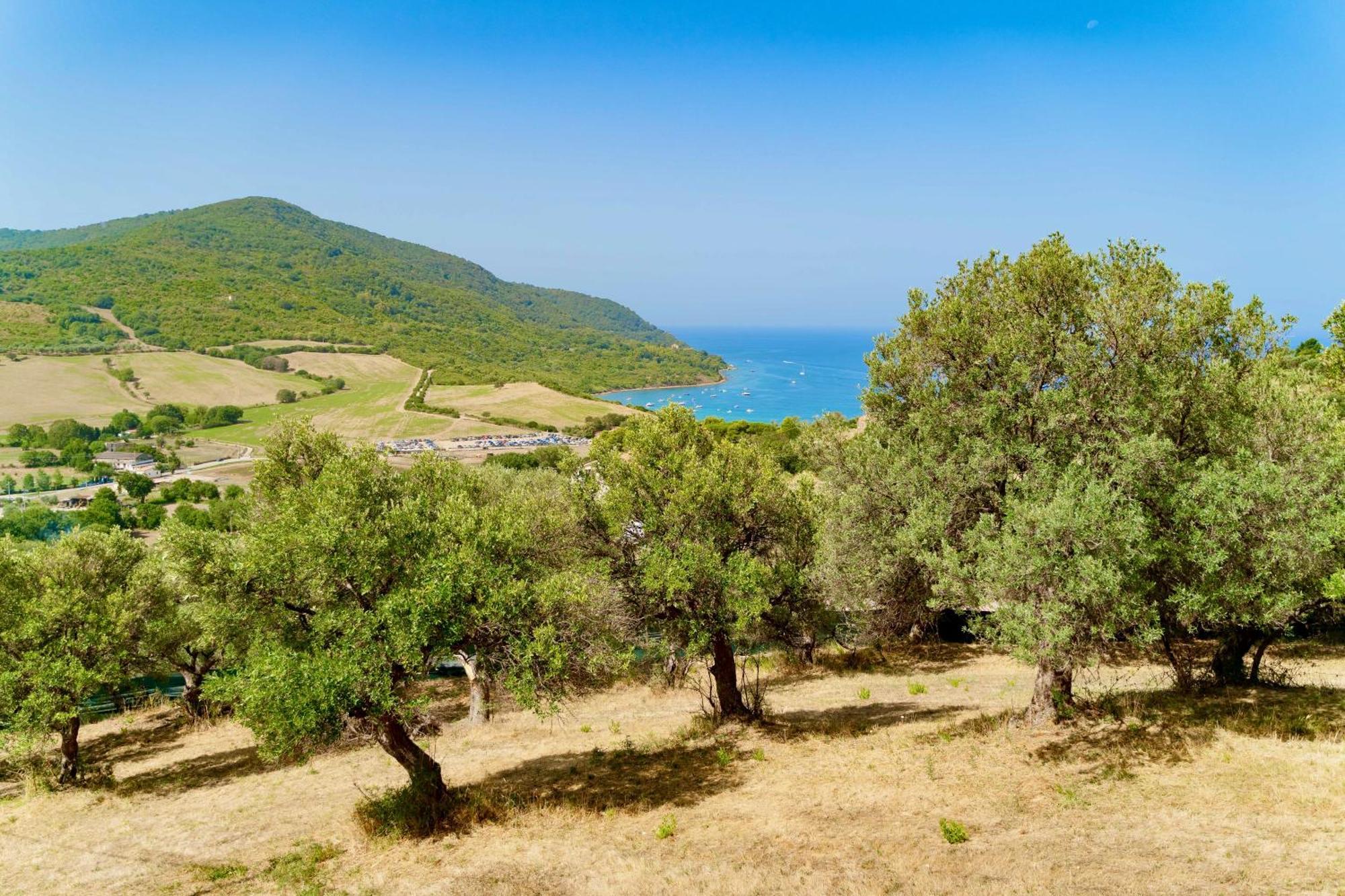 B&B Baia Di Trentova Agropoli Ngoại thất bức ảnh